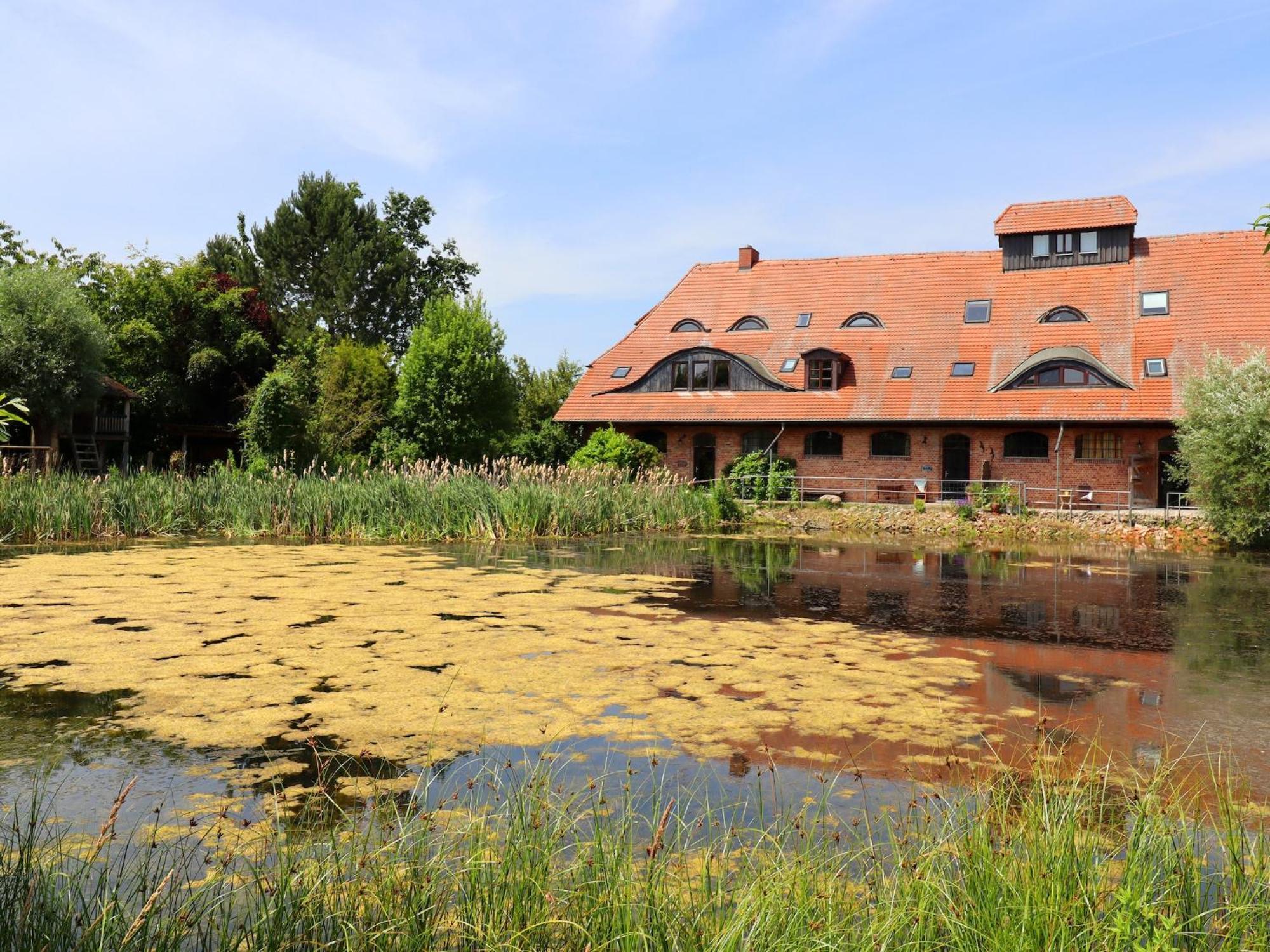 Spacious Apartment In Buschenhagen With Sauna Eksteriør billede