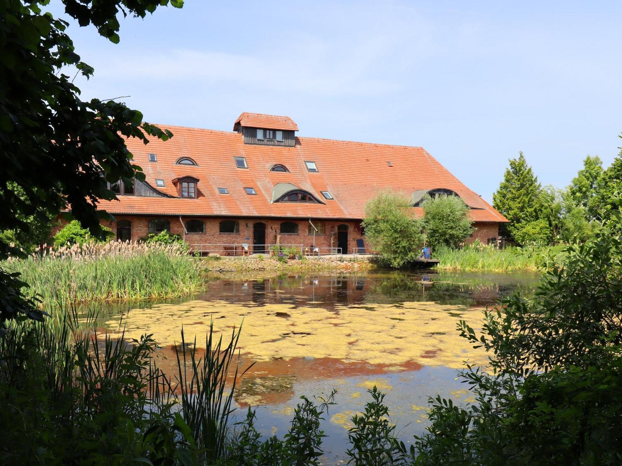 Spacious Apartment In Buschenhagen With Sauna Eksteriør billede